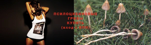 спиды Краснослободск