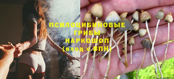 спиды Краснослободск