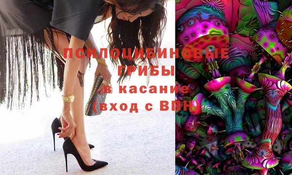 спиды Краснослободск