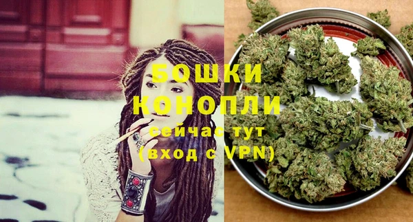 амф Струнино