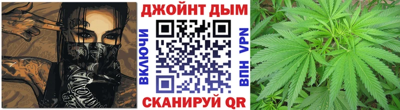 Купить где  Белёв  Каннабис Amnesia 